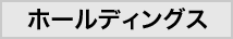 アミタホールディングス