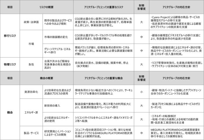 Risks_and_Opportunities_Table.png